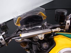 Ducati MONSTER SENNA 