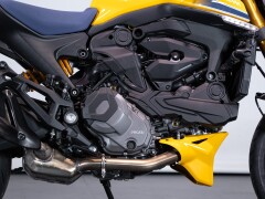 Ducati MONSTER SENNA 